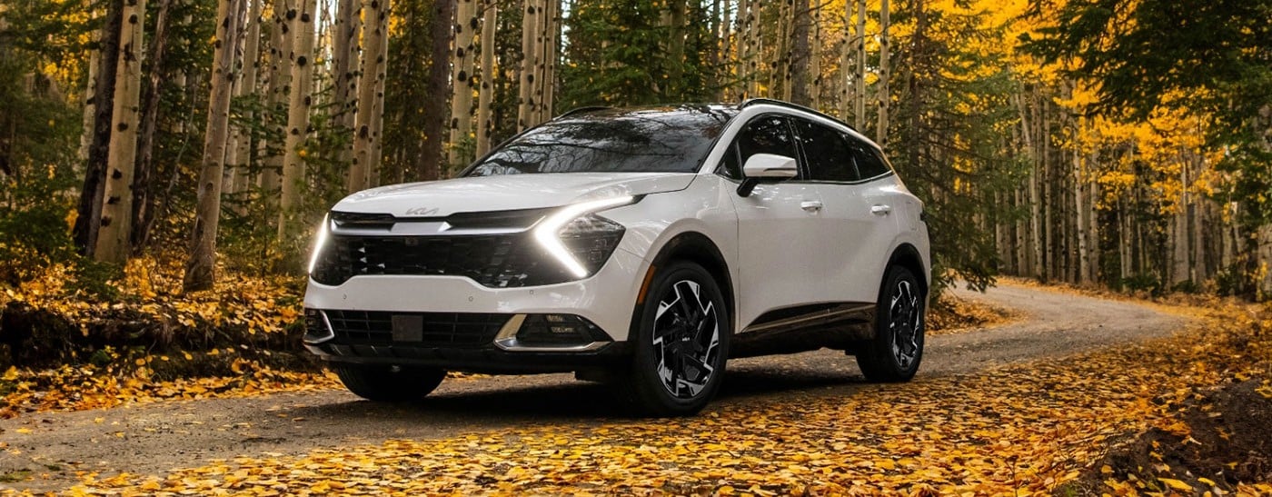 1. Check and Replace Your Tires