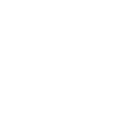 Two day car