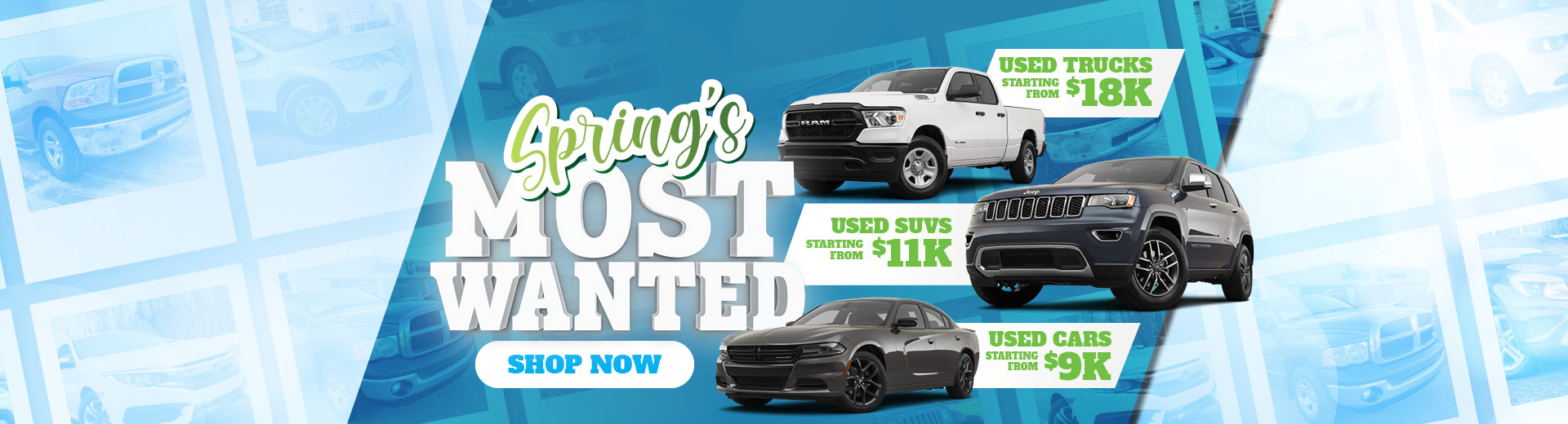 Spring's Most Wanted