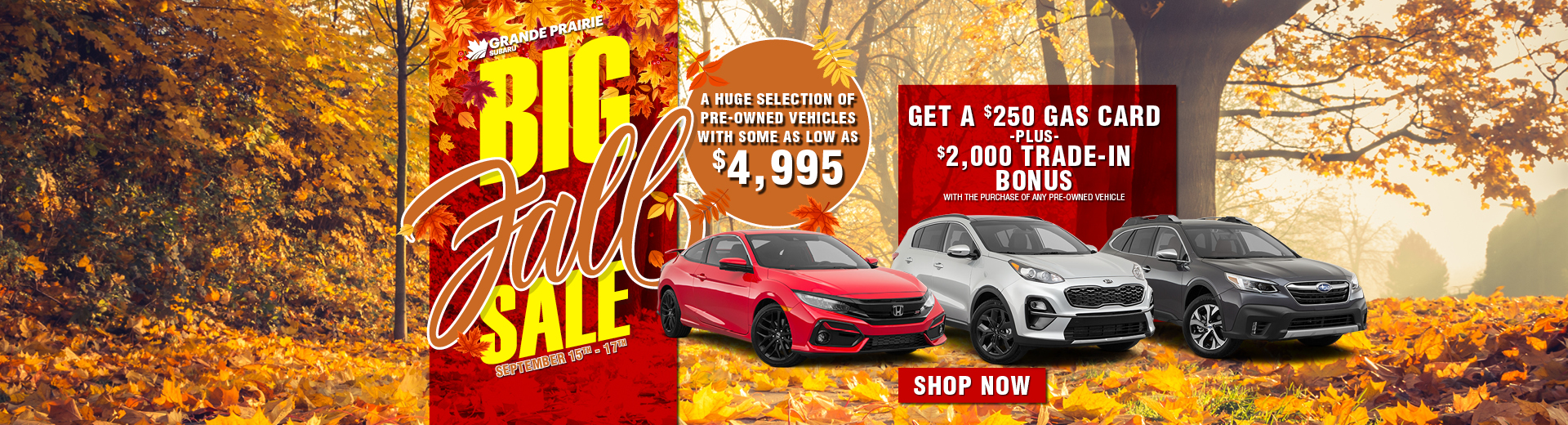 Many Vehicles Priced To Go at Grande Prairie Subaru