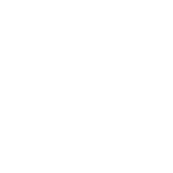 Two day car